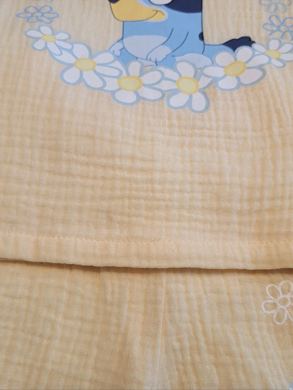 Baby 2-piece Soft Yellow Short Sleeve, Shorts Bluey Set- 12 Months